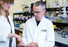 Plåster kan motverka antibiotikaresistens