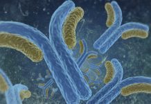 Reumamedel effektivt mot autoimmun artärsjukdom