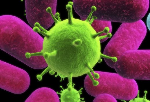 Test skiljer på bakteriella och virusinfektioner