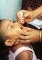 Muterat vaccin bakom polioutbrott i Nigeria