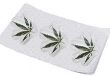 Cannabisläkemedel fungerar inte mot smärta