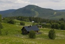 Glesbygdsbidrag till 29 apotek