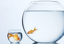 Osäkert om mätningar på apotek