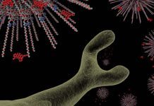 Stor tilltro till det lilla