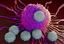 Sjöbergpriset för nya cancerbehandlingar