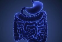 Stopp för produkt med tarmbakterier överklagas