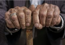 Databas ska underlätta forskning om åldrande