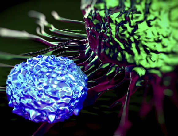 Immunterapi gav lovande resultat vid sällsynt cancer