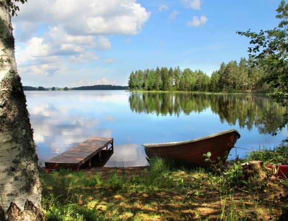 Antidepressiva läkemedel påverkar fiskars beteende