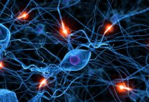 Ny metod från Lund kan producera sjuka hjärnceller Läkemedelsvärlden