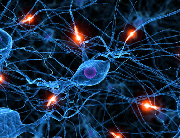 Ny metod från Lund kan producera sjuka hjärnceller