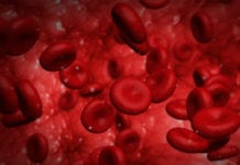 Positiva delresultat för klinisk Crispr-studie röda blodkroppar