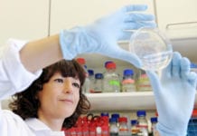 Emmanuelle Charpentier blir mentor i Umeå