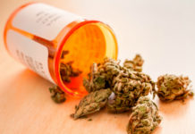 Stort cannabisprojekt fann inga bevis för smärtlindring Läkemedelsvärlden