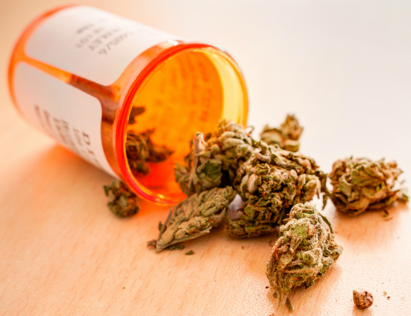 Licensförskrivningen av medicinsk cannabis ökar