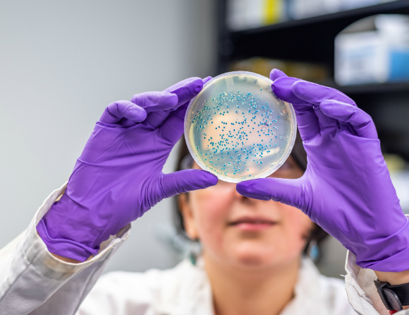 WHO: Livshotande bakterier allt mer resistenta