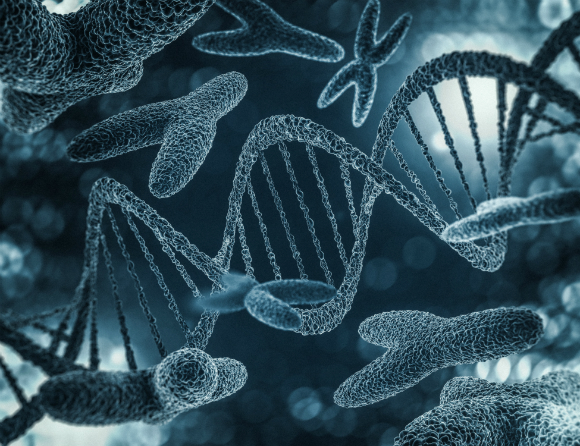 Får upptäckare av gen-reglering årets Nobelpris?