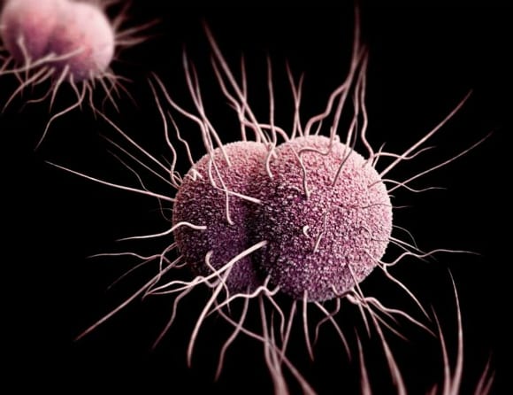 Ny antibiotika når fas III – testas mot gonorré