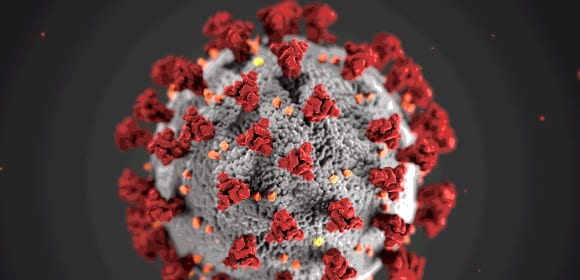 Coronavirus. Foto: CDC.