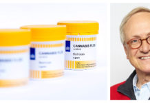 Svensk cannabisstudie skjuts upp vediol medcinsk cannabis claes hultling