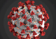 Coronavirus. Foto: CDC.