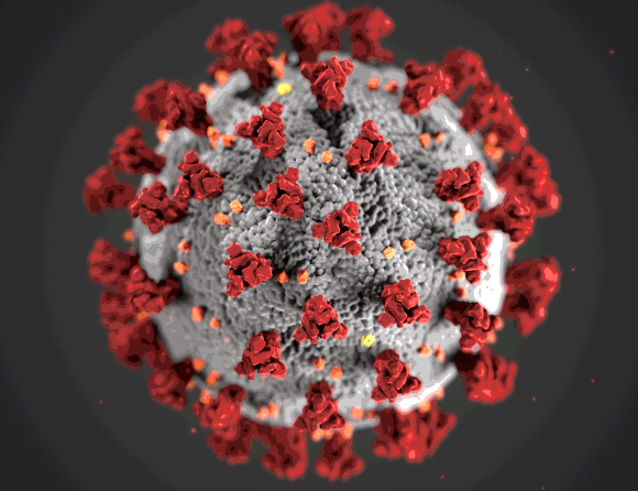 Coronavirus. Foto: CDC.