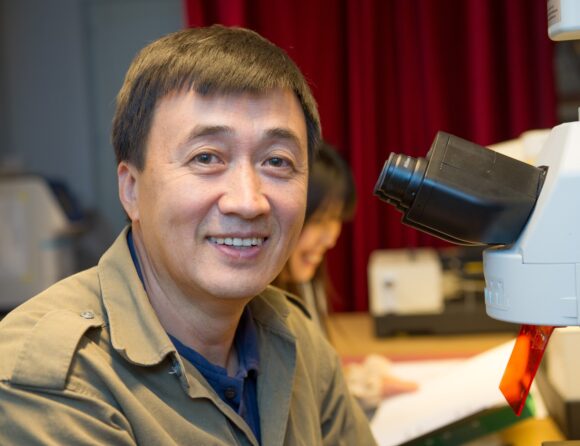 Yihai Cao