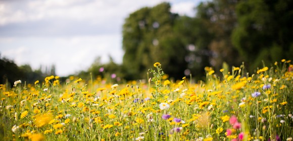 Glad sommar från Läkemedelsvärlden! Glad sommar från Läkemedelsvärlden!