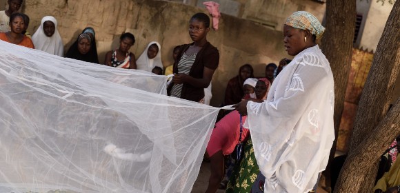 Nytt malariavaccin väcker stort hopp