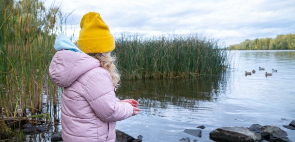 ”Hela ekosystem kan förändras”