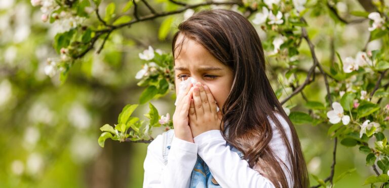 Fler får immunterapi mot allergier