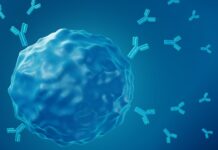 CAR T-terapi gav effekt mot SLE Läkemedelsvärlden