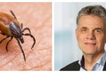 TBE TBE-vaccin TBE-vaccination Fästing Sören Andersson Folkhälsomyndigheten