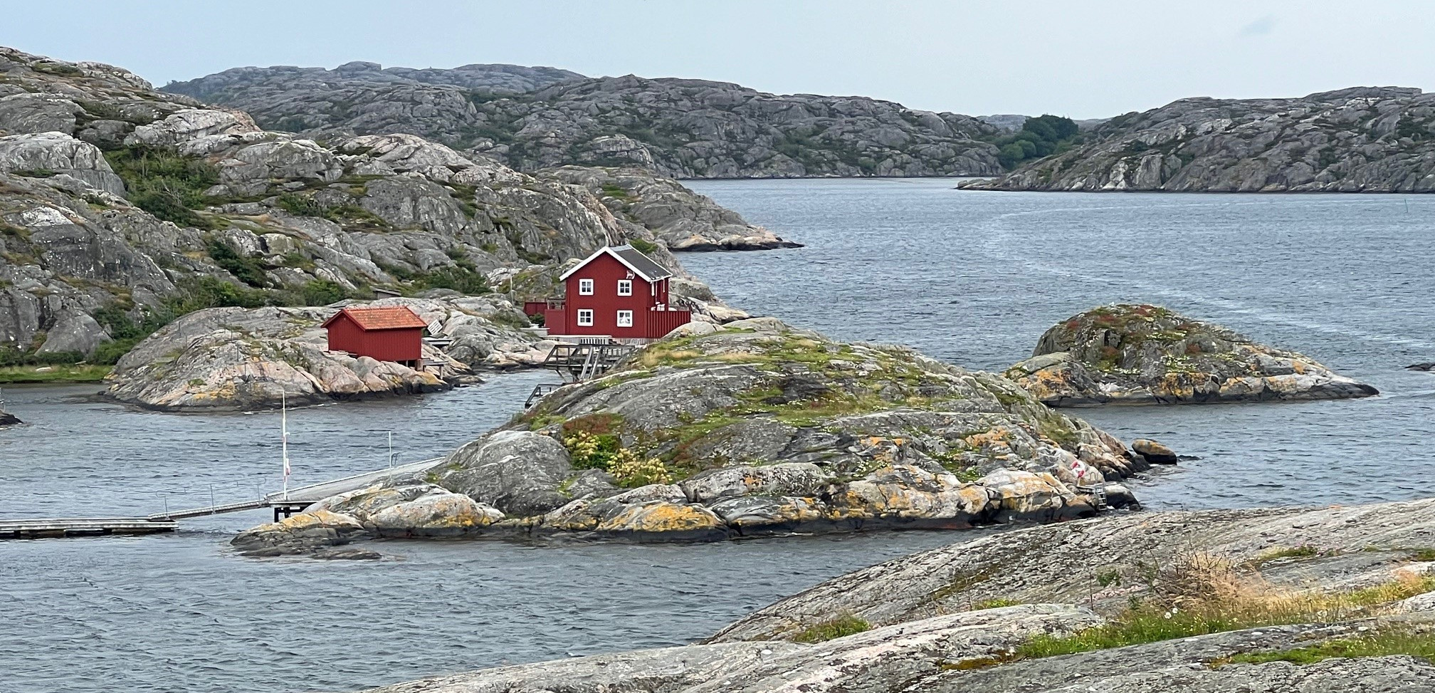 Läkemedelsvärlden Foto: Bengt Dahlstedt