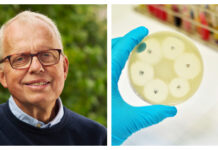Anders Karlén, som varit med och forskat fram en helt ny och potentiellt banbrytande antibiotika, får utmärkelsen Årets farmaceut 2024 av fackförbundet Sveriges farmaceuter. Foto: Istock / Johan Asp
