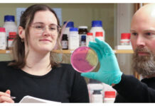 Upprepad antibiotikaanvändning kan skada den skyddande slembarriären i tarmen. Det visar forskning doktoranden Rachel Feeney och docent Björn Schröder vid institutionen för molekylärbiologi vid Umeå universitet gjort. Foto: Anna Shevtsova