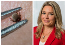 Läkemedelsvärlden