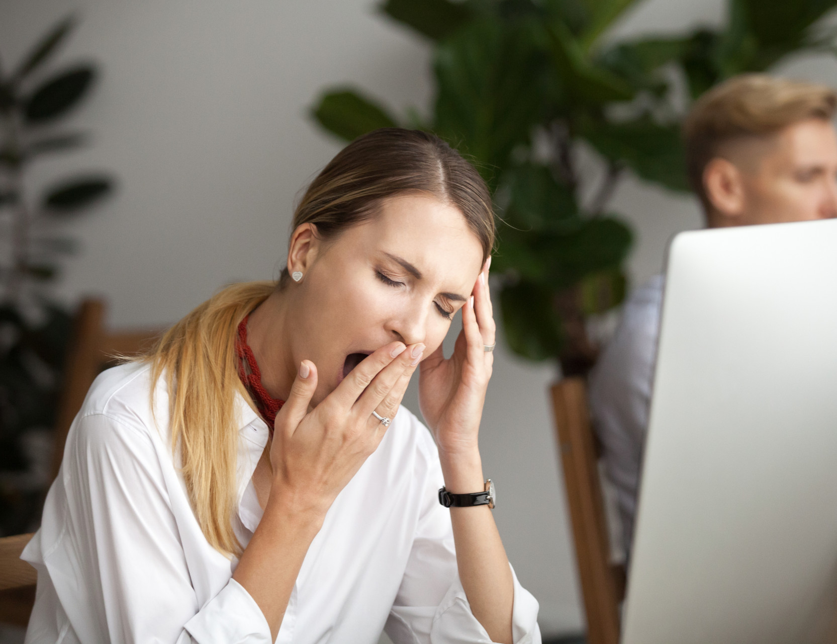 Foto: Istock
