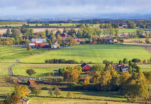 Foto: Istock