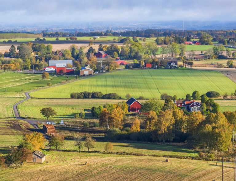 Bidrag till 51 apotek i glesbygd – liten minskning