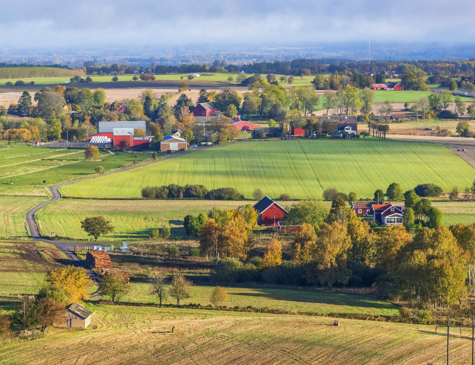 Foto: Istock