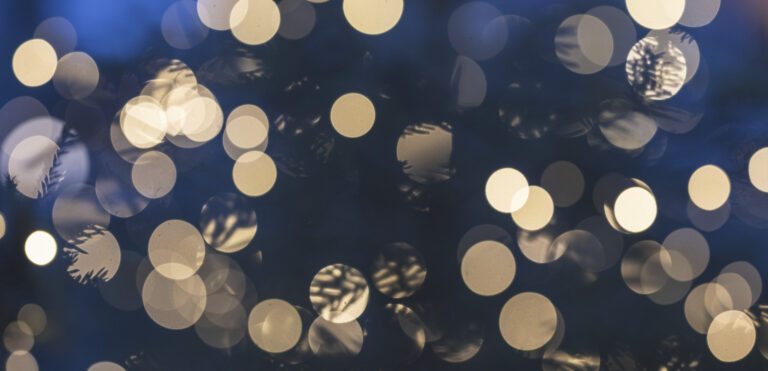 God jul och Gott nytt år!