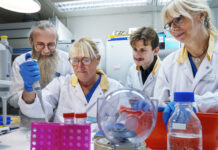 Lovande första halvår för blodprov för Alzheimers