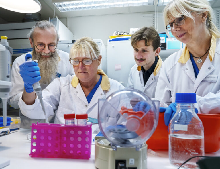 Lovande första halvår för blodprov för Alzheimers