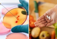 Stor osäkerhet kring antibiotika och kosttillskott Collage: Antibiotika och kosttillskott