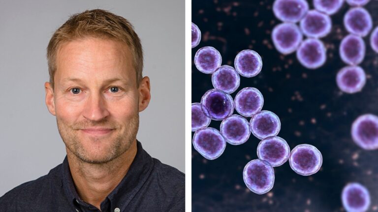 Umeåforskare: Kan bli ett genombrott i kampen mot antibiotikaresistens