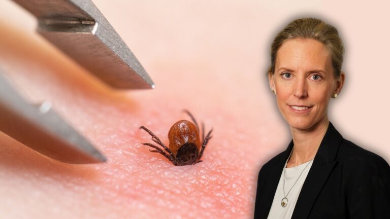 Nya TBE-råd från FHM – vaccin rekommenderas brett för första gången