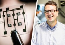Konstgjorda hjärtmuskelceller kan bana väg för framtidens hjärtimplantat För att visa att konceptet fungerar har forskarna jobbat med en relativt stor krets på ett glassubstra/Simone Fabiano, professor i materialvetenskap vid Linköpings universitet