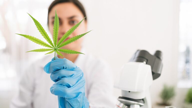 Ökad förskrivning av cannabisbaserade läkemedel