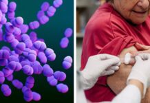 Regeringen inför kostnadsfri pneumokockvaccination för alla över 65 år Pneumokocker